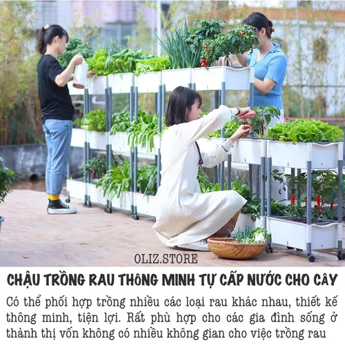🌟 Chậu trồng rau 3 tầng- Tiết Kiệm Không Gian, Hiệu Quả Cao.