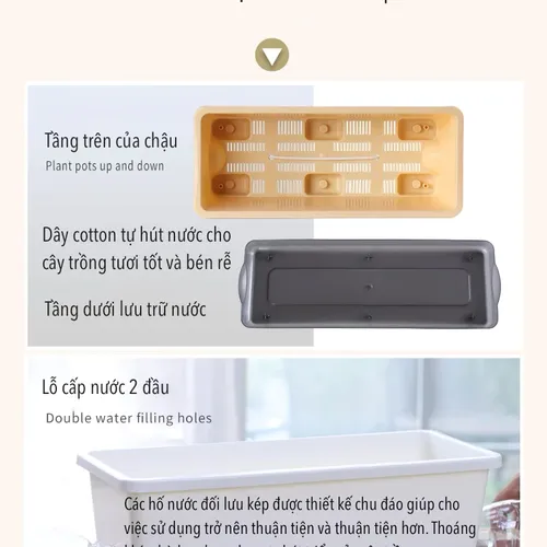 🌿 Chậu Nhựa Trồng Rau Sạch – Dễ Dàng Sử Dụng, Tiết Kiệm Chi Phí.