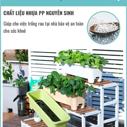 🌱 Chậu Trồng Rau Tự tưới – Dễ Dàng Trồng Rau Tại Nhà.