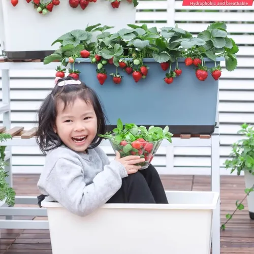 🌿Chậu Trồng Rau Thông Minh: Rau Sạch Tại Nhà, Siêu Tiện Lợi!