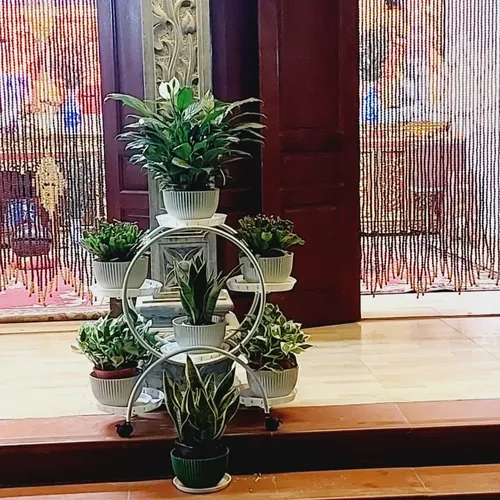 Kệ Cây Cảnh Bằng Sắt 6 Tầng- Tối Ưu Không Gian Sống Của Bạn.