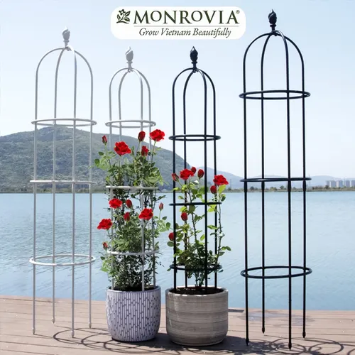 🔥 Khung Vòm cho Hoa Hồng Leo Đẹp Mê Ly | Tạo Cổng Hoa Lãng Mạn.