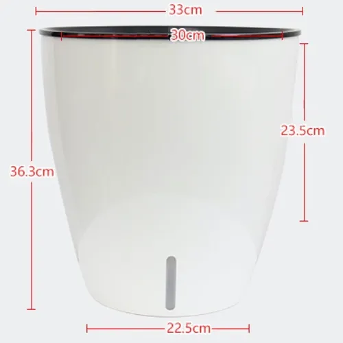 🌞 Chậu Cây Cảnh Đẹp, Thông minh,  Ấn Tượng.