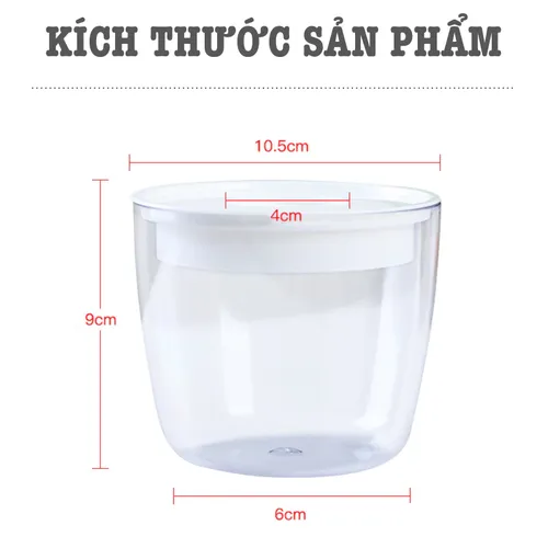 Chậu Cây Thủy Sinh Để Bàn: Phong Thủy May Mắn, Trang Trí Hiện Đại.