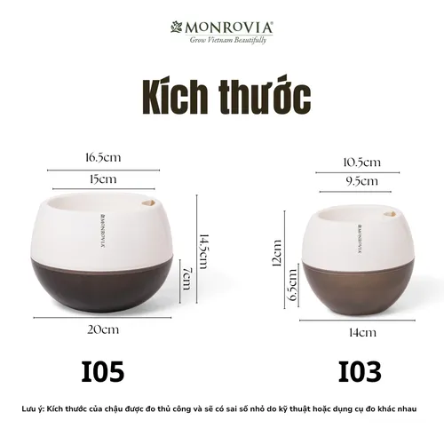 🌸 Chậu Nhựa Trồng Cây Xinh Xắn: Tô Điểm Không Gian Sống Thêm Sinh Động.