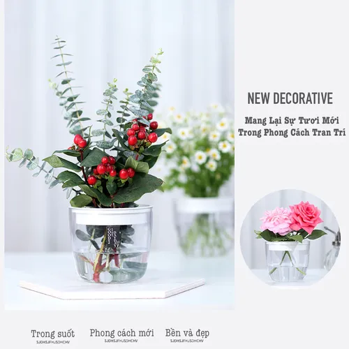 Chậu Cây Thủy Sinh Để Bàn: Phong Thủy May Mắn, Trang Trí Hiện Đại.