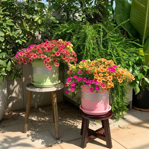 Chậu nhựa trồng cây cảnh VIETPOT xanh Mint MONTARIO – Đẹp hiện đại.