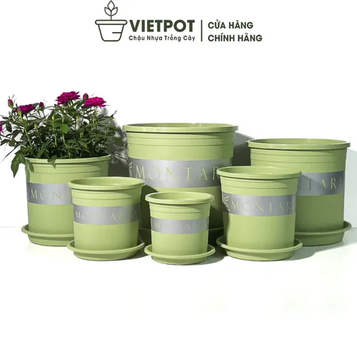 Chậu nhựa trồng cây cảnh VIETPOT xanh Mint MONTARIO – Đẹp hiện đại.