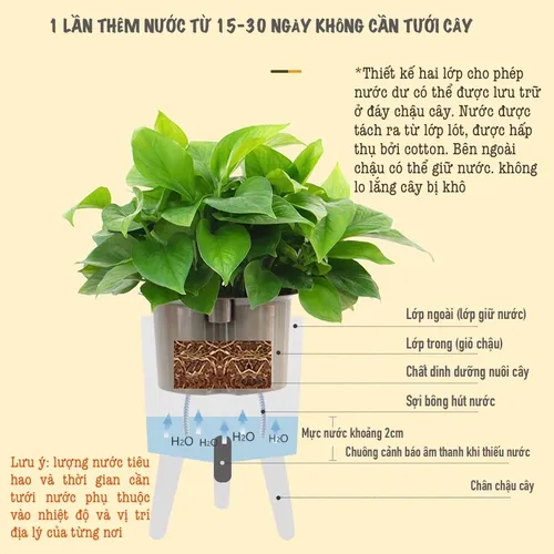 🌞 Chậu Trồng Cây Thông Minh – Tiết Kiệm Thời Gian, Có Chuông Báo Khi Cây Thiếu Nước.