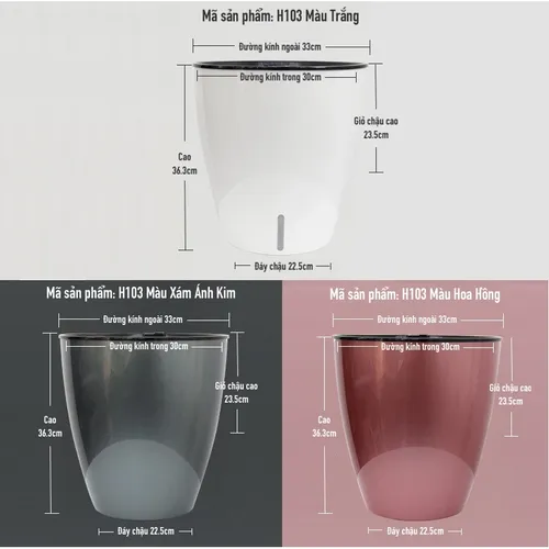 🌞 Chậu Cây Cảnh Đẹp, Thông minh,  Ấn Tượng.