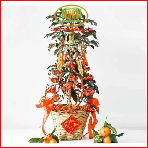 ✨ Cây Kim Ngân Lượng: Rước Tài Lộc, Vượng Khí Cho Gia Đình & Văn Phòng.