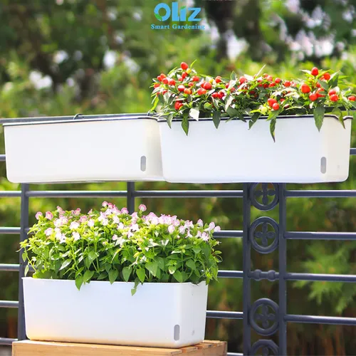 🌿 Chậu Treo Ban Công: Biến Hóa Ban Công Nhỏ Thành Vườn Xanh Mát.