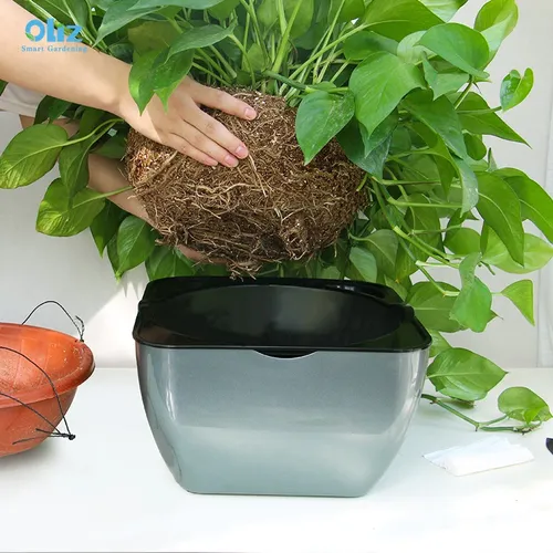 🌿 Chậu Trồng Cây Cảnh Thông Minh - Cho Không Gian Xanh Tiện Lợi.