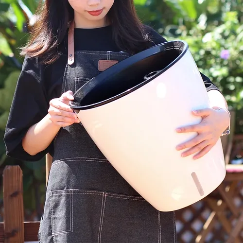 🌞 Chậu Cây Cảnh Đẹp, Thông minh,  Ấn Tượng.