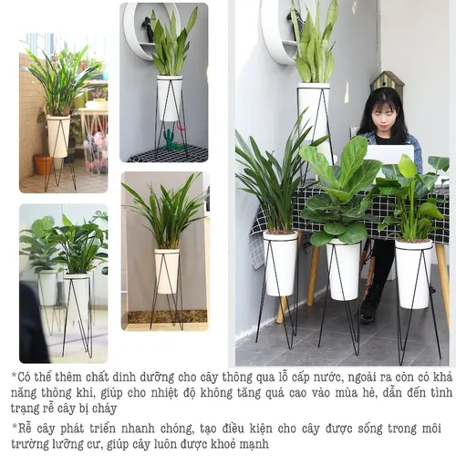 🌱 Chậu Trồng Cây Nhựa Cao Cấp | Nhựa Dẻo Dai, Thiết Kế Thông Minh.