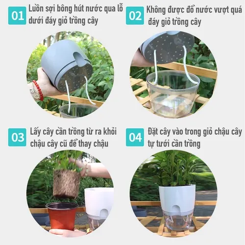 Chậu Cây Để Bàn Độc Đáo – Quà Tặng Ý Nghĩa Cho Người Thân & Đồng Nghiệp.