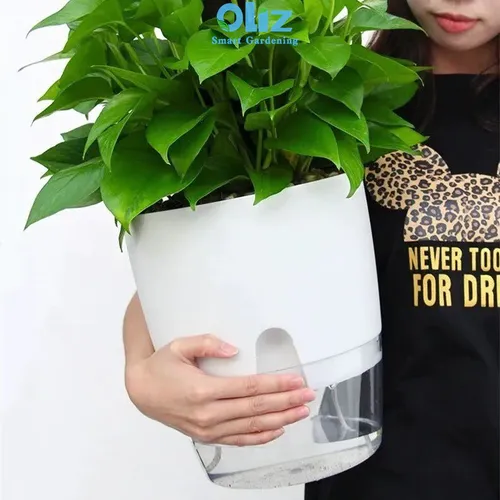 Chậu Cây Để Bàn Độc Đáo – Quà Tặng Ý Nghĩa Cho Người Thân & Đồng Nghiệp.