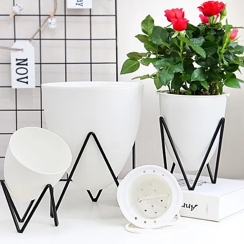 🌱 Chậu Cây Nhỏ Để Bàn – Điểm Nhấn Xanh Mát Cho Không Gian Sống Hiện Đại.