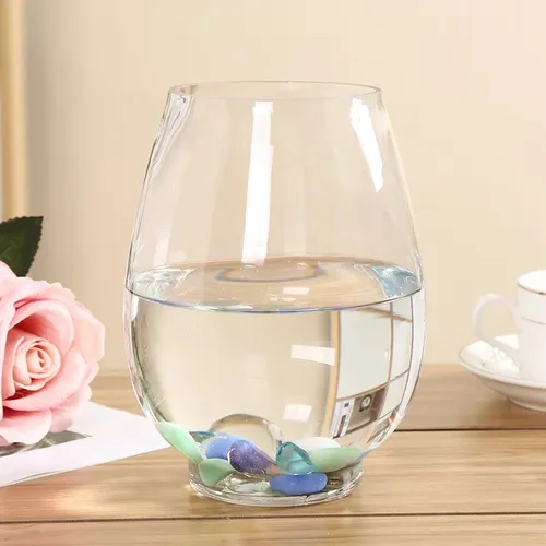 🌿 Chậu Cây Thuỷ Sinh Mini | Dễ Chăm Sóc, Tạo Không Gian Xanh Mát.