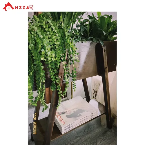 Chậu Gỗ Trồng Cây Cao Cấp – Điểm Nhấn Xanh Cho Ngôi Nhà Của Bạn.