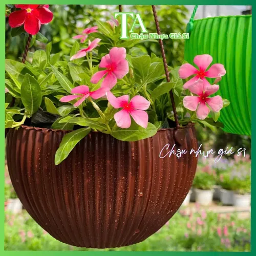 🧑‍🌾Chậu Hoa Treo Ban Công Vân Sọc Cao Cấp- Khám Phá Vẻ Đẹp TINH TẾ!