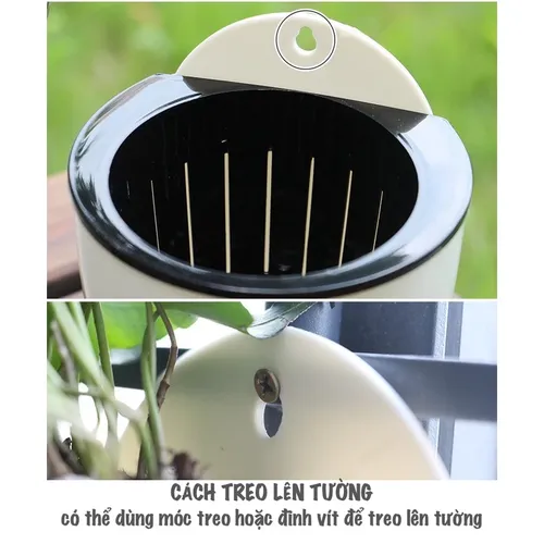 👍 Chậu Treo Tường: Tiết Kiệm Không Gian, Trang Trí Nhà Cực Đẹp.