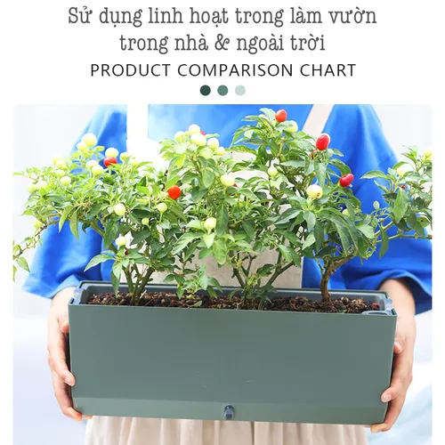 🌺 Chậu Trồng Cây Hình Chữ Nhật –Lựa Chọn Sang Trọng, Đẳng Cấp Cho Không Gian Xanh.