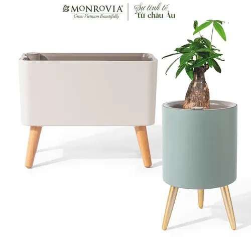🌱 Mua Chậu Trồng Cây tự tưới cao cấp MONROVIA: Trang Hoàng Không Gian Xanh Mát.