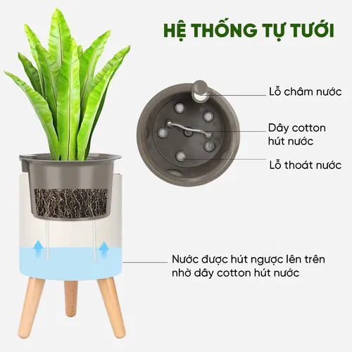 🌱 Mua Chậu Trồng Cây tự tưới cao cấp MONROVIA: Trang Hoàng Không Gian Xanh Mát.