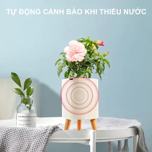 🌱 Mua Chậu Trồng Cây tự tưới cao cấp MONROVIA: Trang Hoàng Không Gian Xanh Mát.