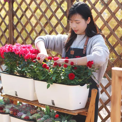 🏡 Chậu Trồng Rau Thông Minh – Tự Động Tưới Nước, Phát Triển Mạnh Mẽ.