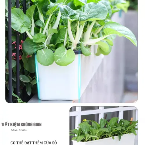 🌿 Chậu Trồng Rau Sân Thượng Thông Minh tự tưới, Không Tốn Công Chăm Sóc.