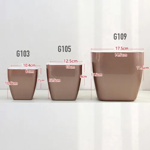 Chậu Hoa Mini Để Bàn: Quà Tặng Nhỏ Xinh, Ý Nghĩa Lớn.