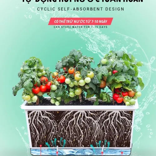 🌿Chậu Trồng Rau Thông Minh: Rau Sạch Tại Nhà, Siêu Tiện Lợi!