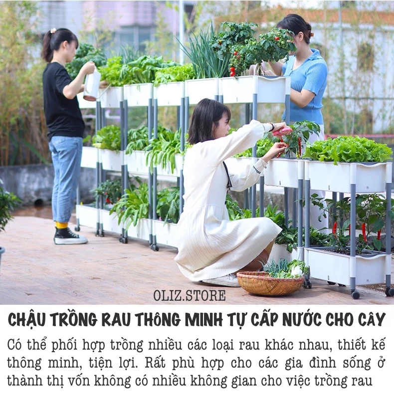 Xu hướng trồng cây trong chậu nhựa đang rất phổ biến Xu hướng trồng cây trong chậu nhựa đang rất phổ biến