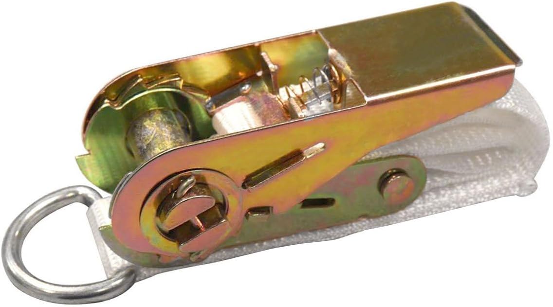 1 Inch Ratchet Buckle 1 Inch Ratchet Buckle | An Thanh Tech