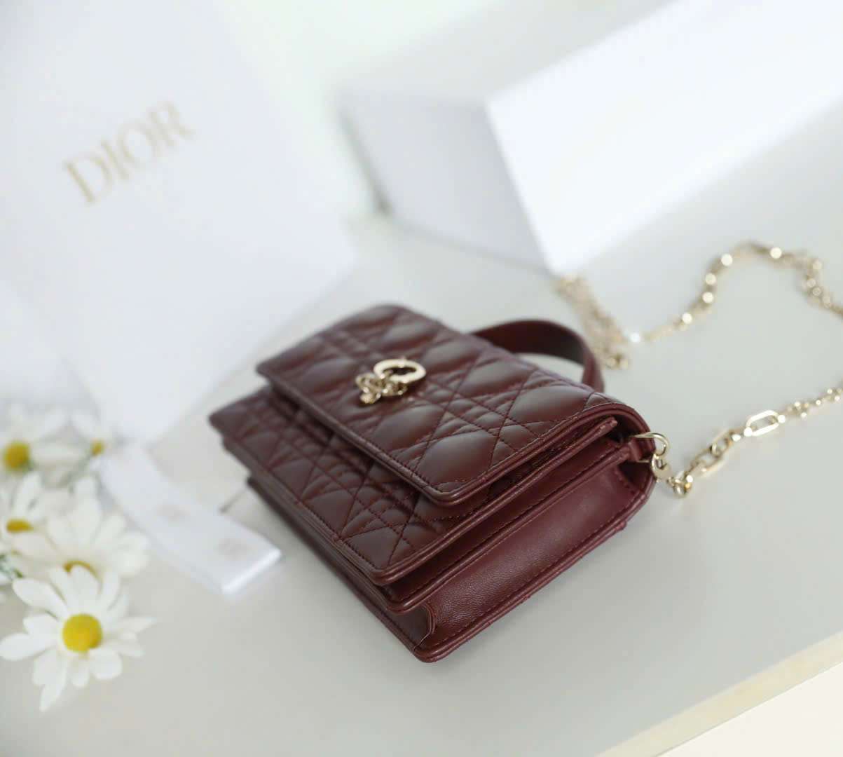 Bên Hông Túi Xách My Dior Woc Dáng Chuẩn Luxury Bên Hông Túi Xách My Dior Woc Dáng Chuẩn Luxury