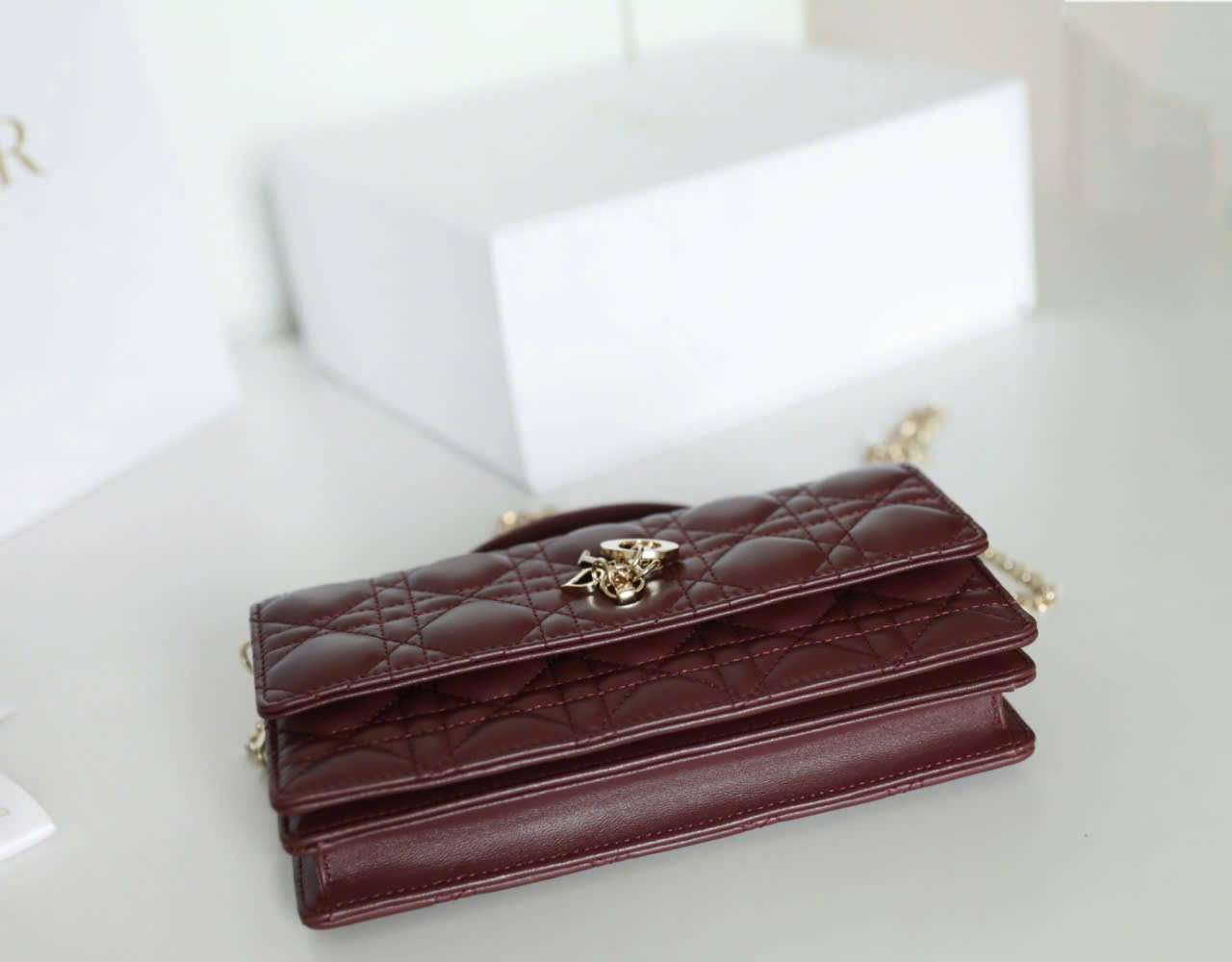 Phía Dưới Túi Xách My Dior Woc Khóa Vàng Tinh Xảo Phía Dưới Túi Xách My Dior Woc Khóa Vàng Tinh Xảo