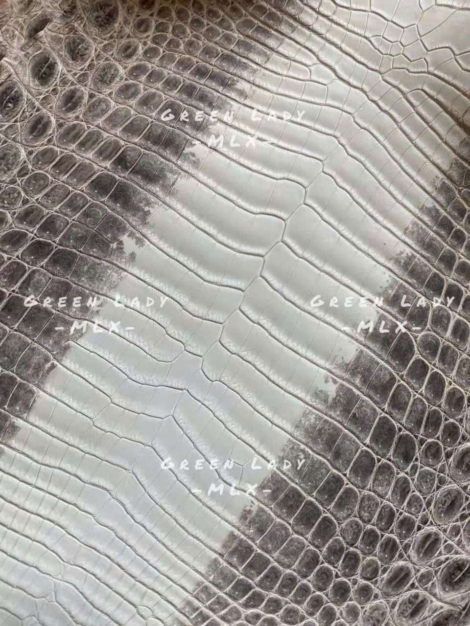 tấm da cá sấu bạch tạng tấm da cá sấu bạch tạng