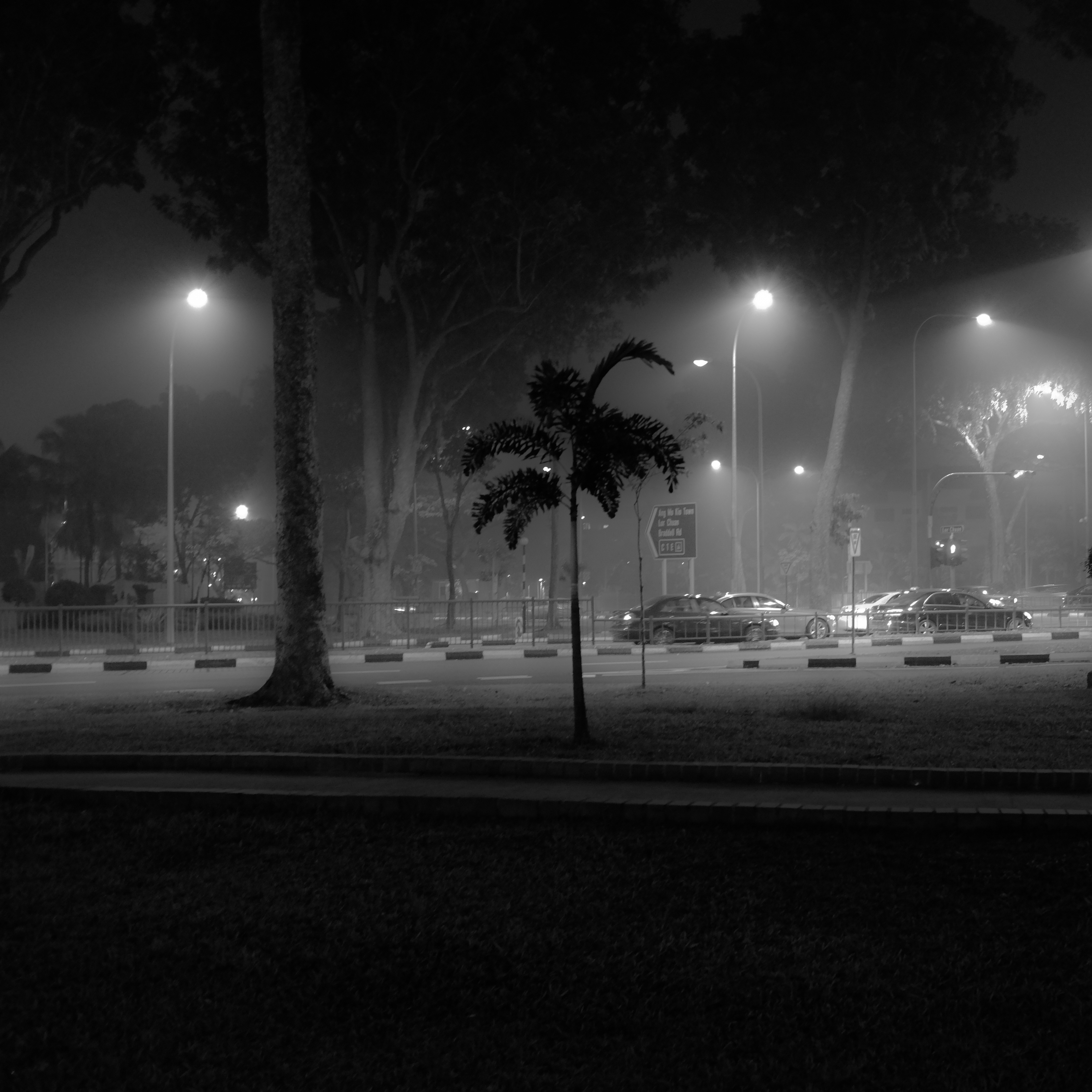 Đèn LED ánh sáng trắng khi trời sương mù Đèn LED ánh sáng trắng khi trời sương mù