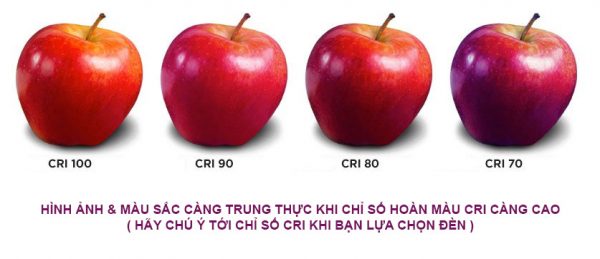 Hình ảnh minh họa cho chỉ số CRI của ánh sáng đèn Hình ảnh minh họa cho chỉ số CRI của ánh sáng đèn