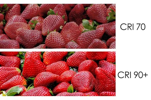 Tận hưởng màu sắc trung thực với bóng đèn LED Philips CRI cao