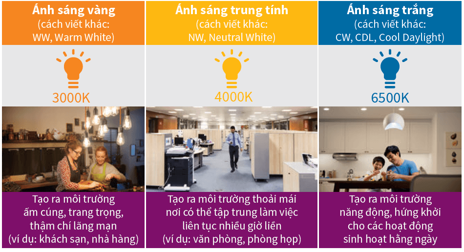 Lựa chọn màu ánh sáng phù hợp với đèn Downlight âm trần Led Philips DN020B Lựa chọn màu ánh sáng phù hợp với đèn Downlight âm trần Led Philips DN020B