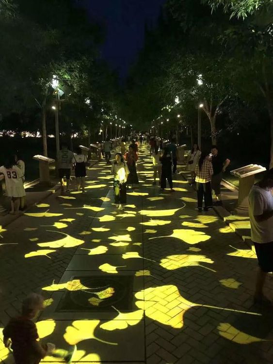 Lễ hội ánh sáng hoa rẻ quạt Lễ hội ánh sáng hoa rẻ quạt