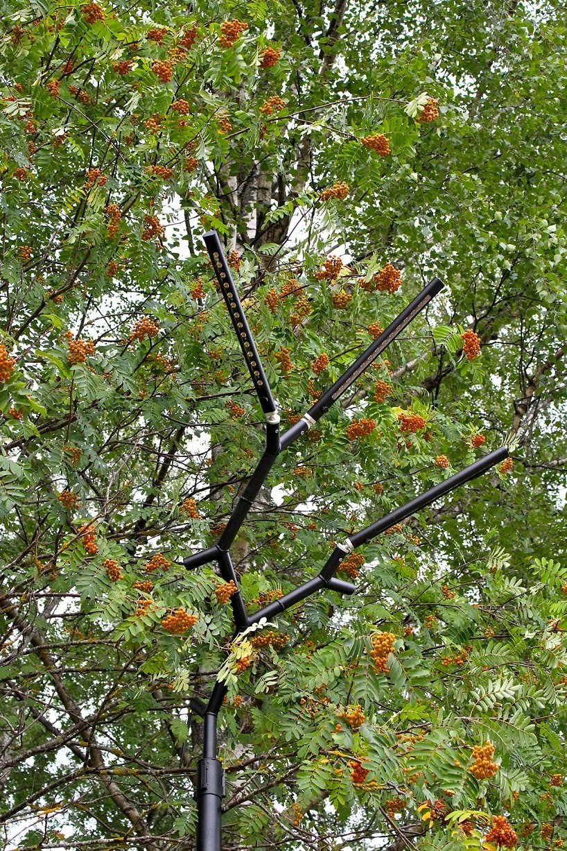 Đèn đường phù hợp với tán cây Đèn đường phù hợp với tán cây