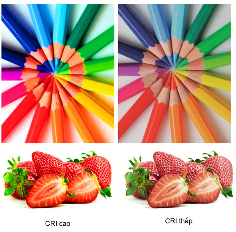 Đèn Downlight âm trần Led Philips MARCASITE 59522 12W Ø125 Đèn Downlight âm trần Led Philips MARCASITE 59522 12W Ø125