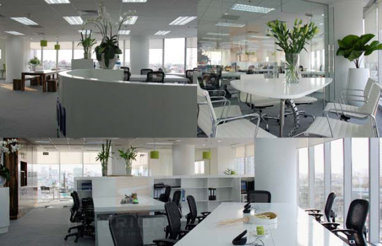 Máng đèn huỳnh quang Philips TMS 012 giúp bạn tận dụng tối đa nguồn sáng, tăng độ thẩm mỹ cho văn phòng Máng đèn huỳnh quang Philips TMS 012 giúp bạn tận dụng tối đa nguồn sáng, tăng độ thẩm mỹ cho văn phòng