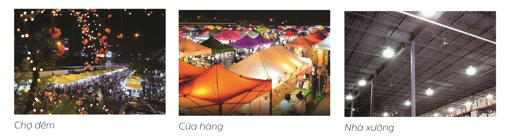 Bóng đèn Led Bulb Philips chiếu sáng hiệu suất cao Bóng đèn Led Bulb Philips chiếu sáng hiệu suất cao