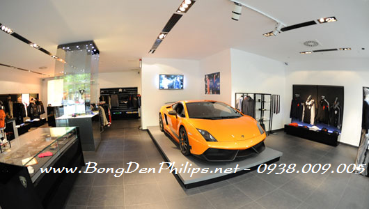 Bóng đèn Led chiếu điểm Philips