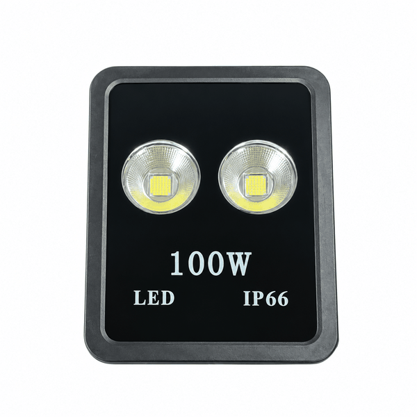 [Philips Inside] Đèn Pha Ly LED Floodlight Chiếu Sáng Cây Cảnh Sân Vườn Citilight CTL122F 100W LED150/WW 220-240V 15000LM
